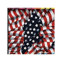 Occunomix 940-OLD OccuNomix One Size Fits All Old Glory MiraCool Bandana
